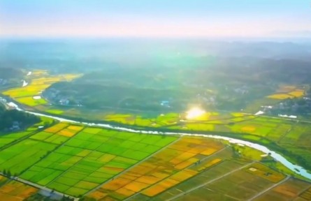 湖南：做强种子“芯片” 保障粮食安全