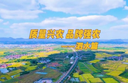 山东济宁泗水县：强化品牌农业建设 助力乡村振兴