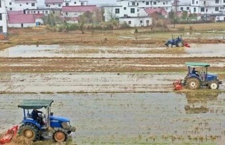 2022年江西省早稻意向播种面积达1830万亩