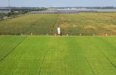 耕地保护：保数量 提质量 管用途 挖潜力