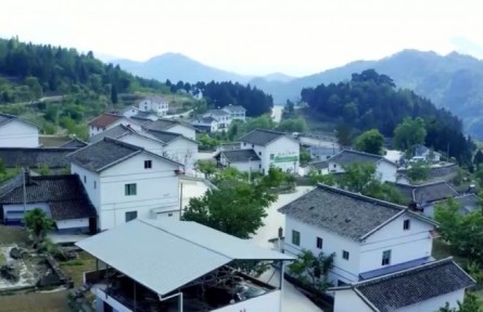 2022年全面推进乡村振兴重点工作明确
