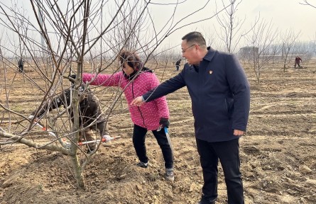 谷洲：“开荒书记”土里刨金