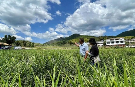 让百姓的日子越过越红火——民生一线观察