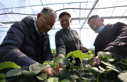 “全国脱贫攻坚楷模”赵亚夫：带民同致富，把成绩写在大地上