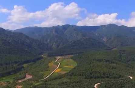 甘肃：贯彻绿色发展理念 助力乡村产业振兴