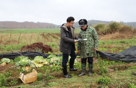江西乐安：“查农情、知农需” 气象服务送下乡