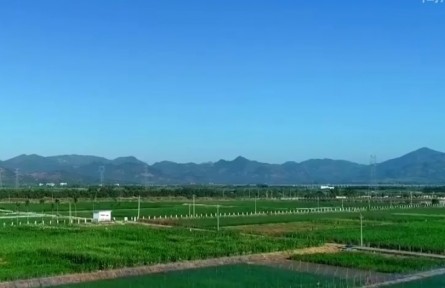 海南大力推进“南繁硅谷”建设 推动南繁产业高质量发展