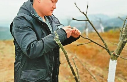 海归硕士陈智天变“新农人”：搞农业并不比研发芯片容易
