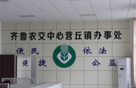 山东省潍坊市昌乐县营丘镇：发展现代农业 赋能乡村振兴