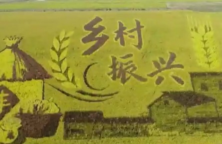 【奋进新征程 建功新时代】山东：加快农业新旧动能转换 建设现代农业强省
