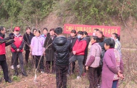 四川巴州：“送科技下乡” 助力春耕生产