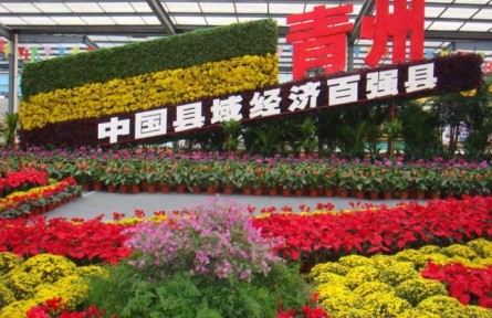 山东潍坊青州市：花卉产业蓬勃发展 致富之花更艳丽