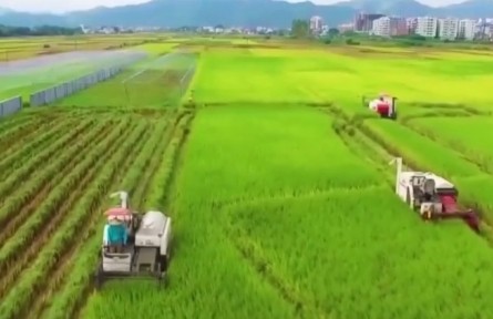 住粤全国政协委员热议：保障国家粮食安全 兜牢民生保障底线