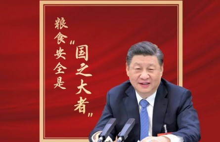 习近平：粮食安全是“国之大者”