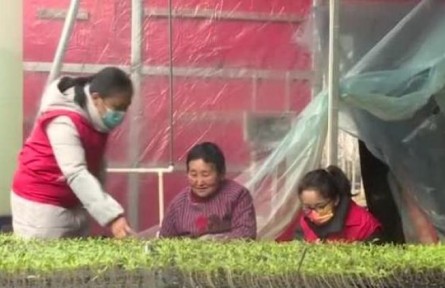 河南济源：科技特派员助力春耕生产