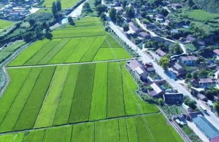 【奋进新征程 建功新时代】陕西富县张家湾镇：草畜循环 带动乡村振兴