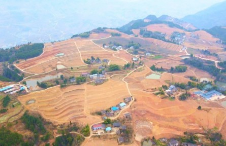 四川达州开江县：唤醒土地新活力 让撂荒地变“致富田”