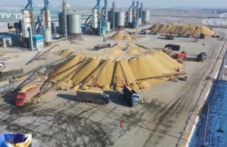 国家粮食和物资储备局：我国粮食安全形势总体较好 保供稳价基础扎实