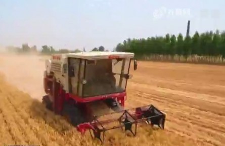 扛牢农业大省责任 打造乡村振兴齐鲁样板