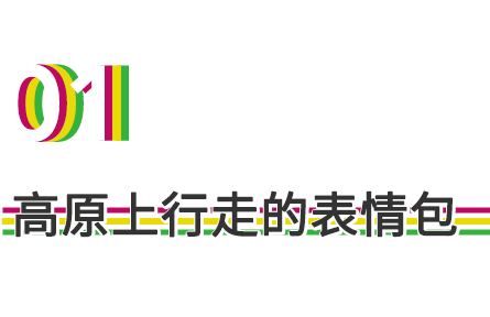 物种故事 | 藏狐：长得与世无争，眼里却写满了故事