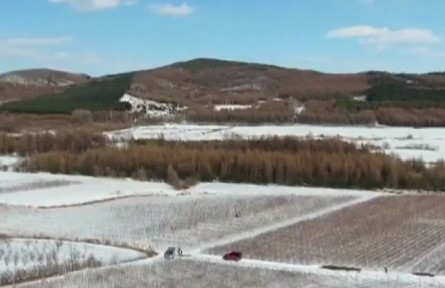 黑龙江：农技人员来指导 科技助力农业备耕