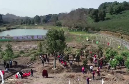 2022年全国计划植树造林5006万亩
