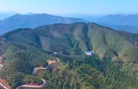 广西三江：“小茶籽”大产业 万亩优质油茶春耕忙