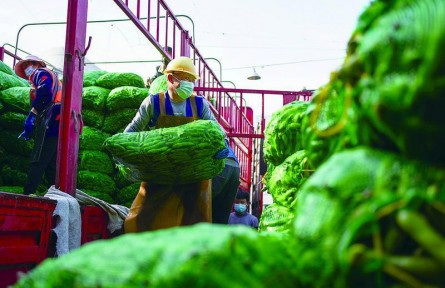 线上建群保供，线下备货配送！上海全力以赴保障“菜篮子”供应