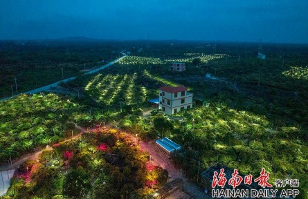 海南海口：科技赋能 助力乡村振兴