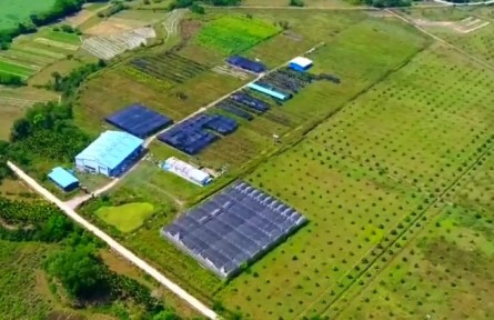 海南：打好农产品加工业发展组合拳 助推绿色农业发展转型升级