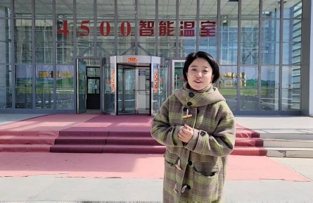 西藏那曲：科技让海拔4500米的智能温室绿意盎然