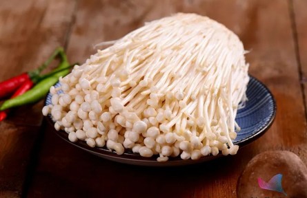 辟谣 | 金针菇为什么叫“明天见”？吃了等于白吃？原来一直误会它了