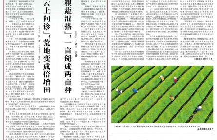 “云上问诊”，荒地变成倍增田