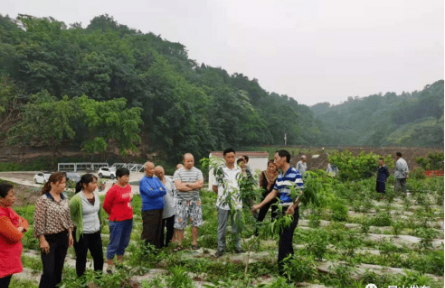 |罗国森：这位水果“守护神” 用科技酿出了“致富蜜”