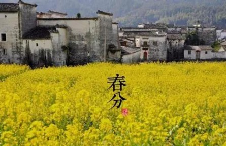 春暖花开，今日春分