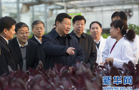 习近平三农观：农业现代化关键在科技进步
