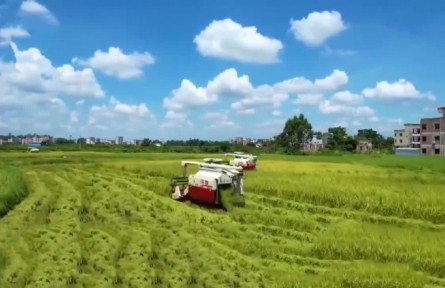 广东化州：农业托管助力春耕