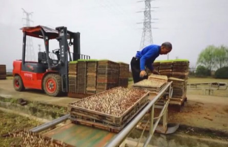 浙江金华：机械化育秧助力早稻春播