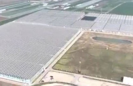 山东：智慧化标准化助推现代农业产业园崛起
