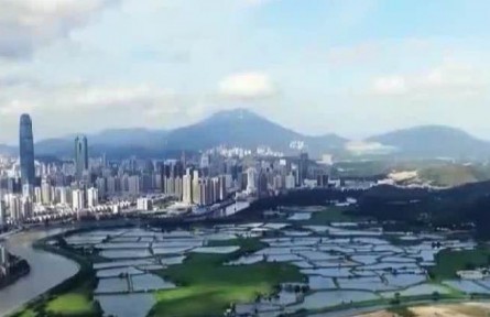 【奋进新征程 建功新时代·伟大变革】全面深化改革取得历史性伟大成就