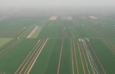 【奋进新征程 建功新时代·伟大变革】夯实大国粮仓根基