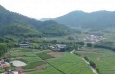 广东：绿色生态和人居环境整治显成效 打造乡村振兴新阵地