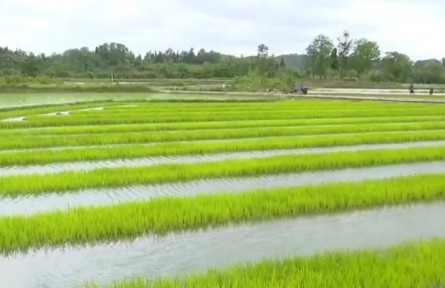 贵州：农机助春耕 农户“慧”种地