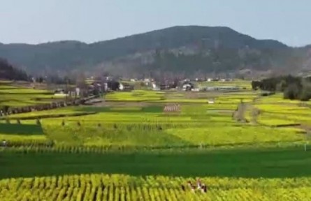 陕西：稳粮食 保耕地 防返贫 2022年将全面推进乡村振兴六项重点工作