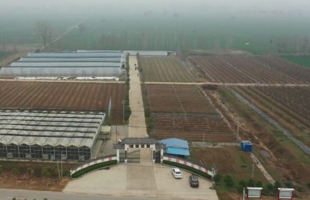 河南：特色农业持续发力 助推乡村振兴“加速跑”