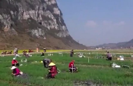 【奋进新征程 建功新时代·伟大变革】民生无小事 枝叶总关情