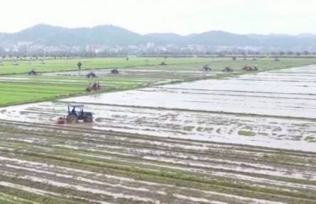 湖南：坚持疫情防控和春耕生产“两不误”​
