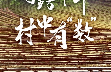 网跨千年，村中有“数”——“数字乡村”赋能西部发展观察