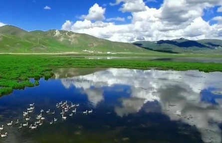 青海：坚定不移做“中华水塔”守护人