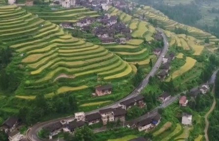 巩固脱贫成果 衔接乡村振兴 发挥体制优势 支持乡村振兴重点帮扶县